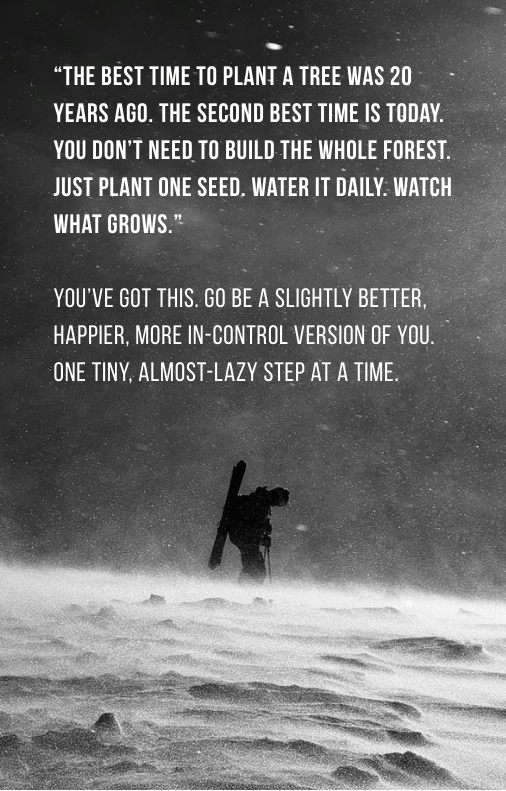 Small Steps, Big Shifts: The 30-Day Guide to Better Habits